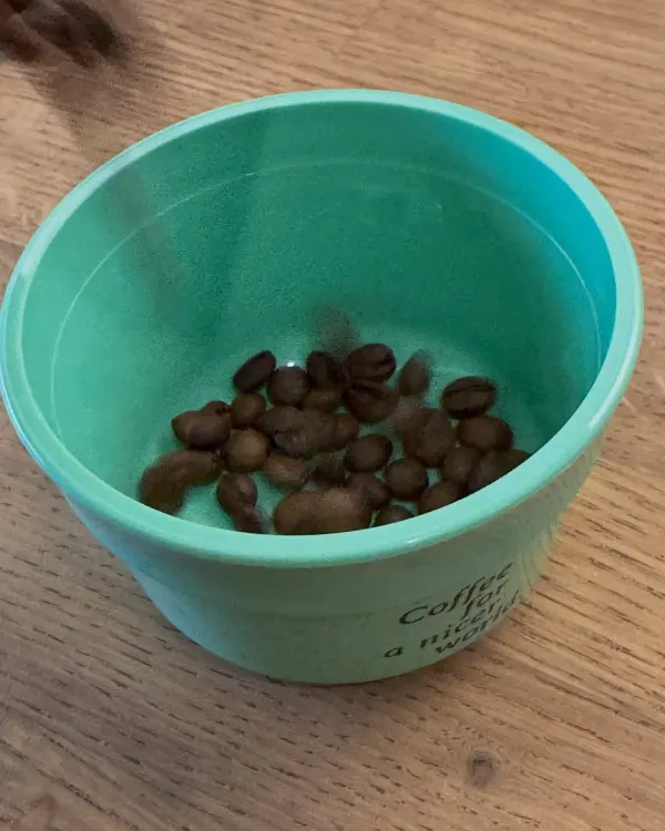 Hejo Coffee