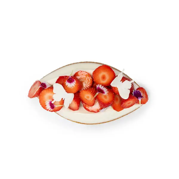 Butterfly Patisserie