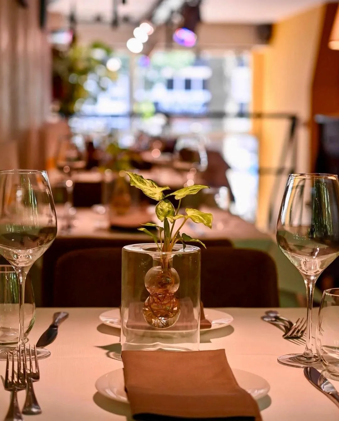 Vicio Il Mastro Pastaio - Italian Restaurant in Amsterdam