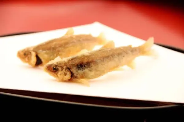 Kagurazaka Ozashiki Tempura Tenko